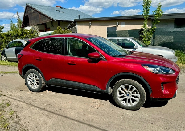 Ford Escape cena 59900 przebieg: 20253, rok produkcji 2020 z Kowary małe 191